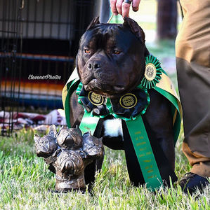 Meet your Posher, Fred